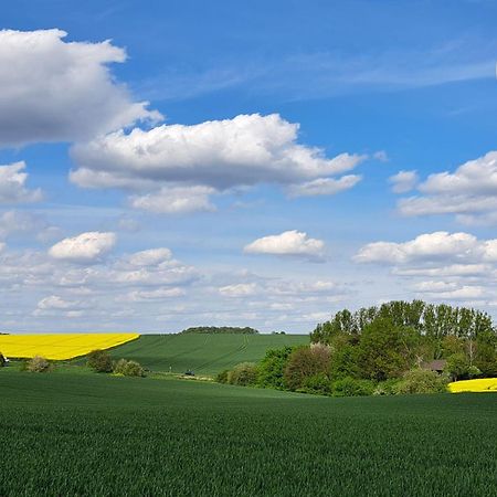 Grosszuegige Wohnung Am Comberg-Park Mettmann Zewnętrze zdjęcie