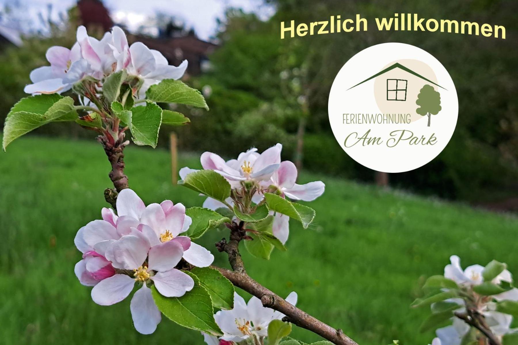 Grosszuegige Wohnung Am Comberg-Park Mettmann Zewnętrze zdjęcie