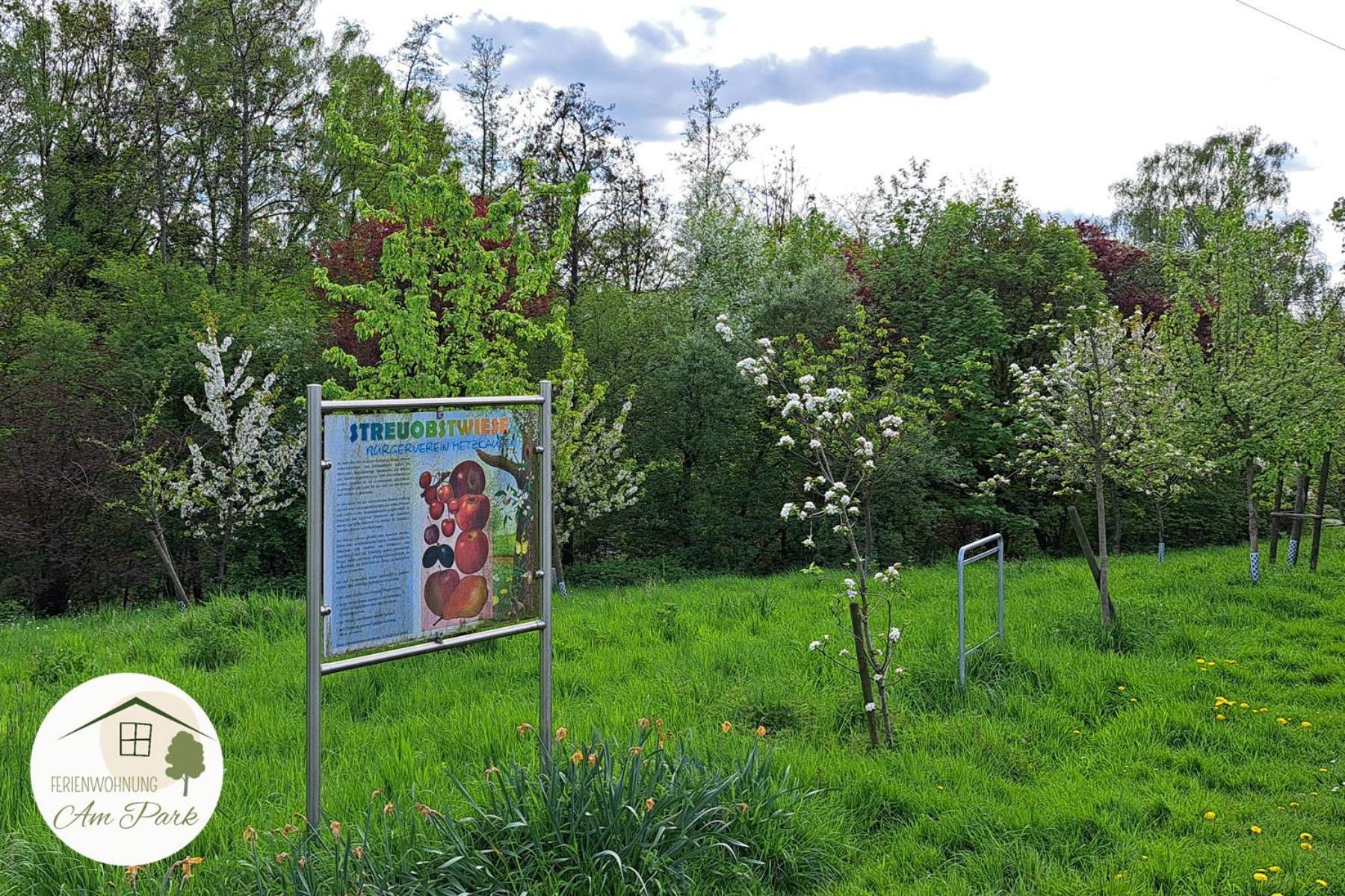 Grosszuegige Wohnung Am Comberg-Park Mettmann Zewnętrze zdjęcie